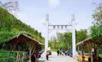 5月12日：徒步貢茶古道，天然氧吧，綠色之旅